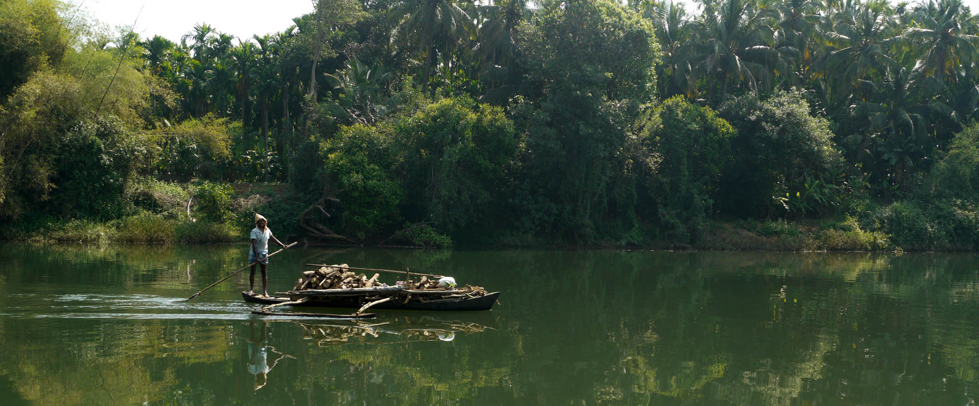 A boatman ferrying firewood by dugout canoe on a backwater lined with palms and mangrove