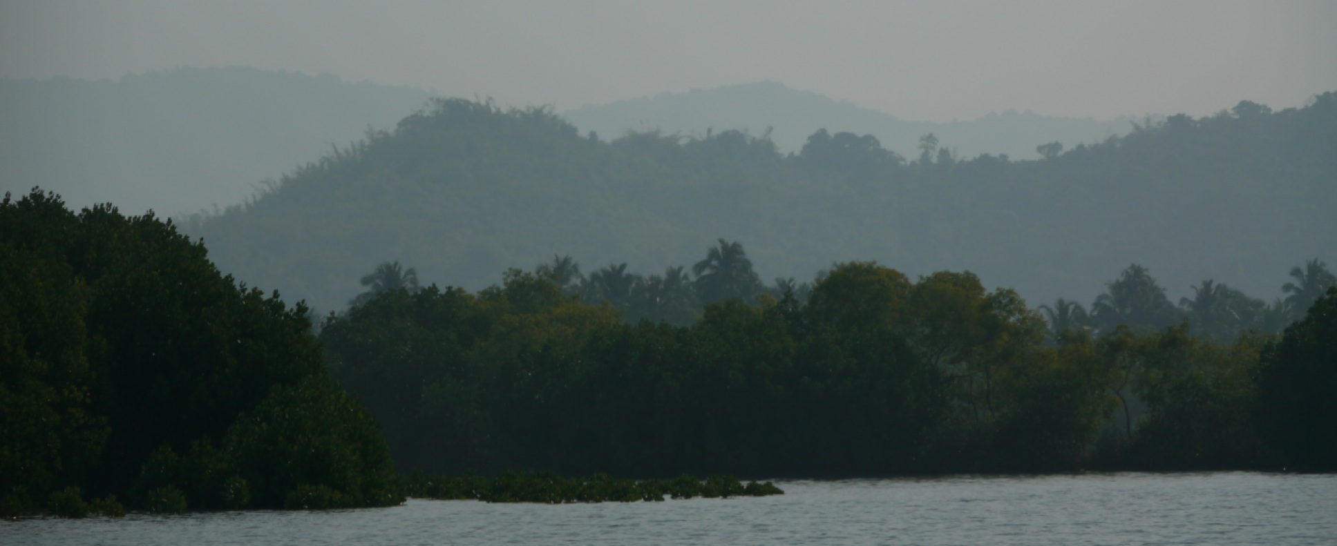 Misty hills and mangrove backwater along the Aghanashini Estuary — the landscape proposed for the Mangrove Innovation Lab