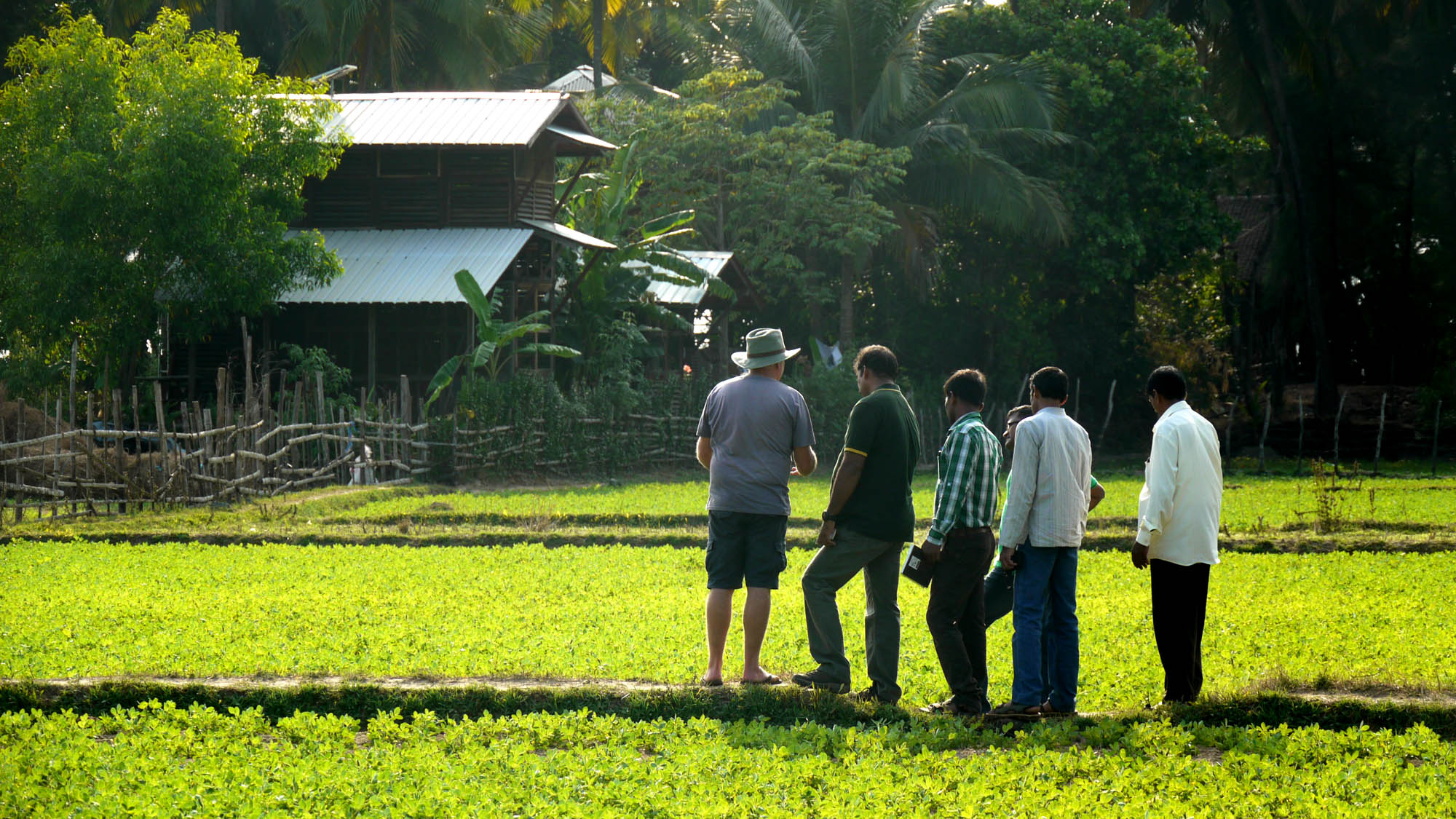 A field study session at the Organic Wealth Centre, Kagal — visitors and staff observing a cultivated field