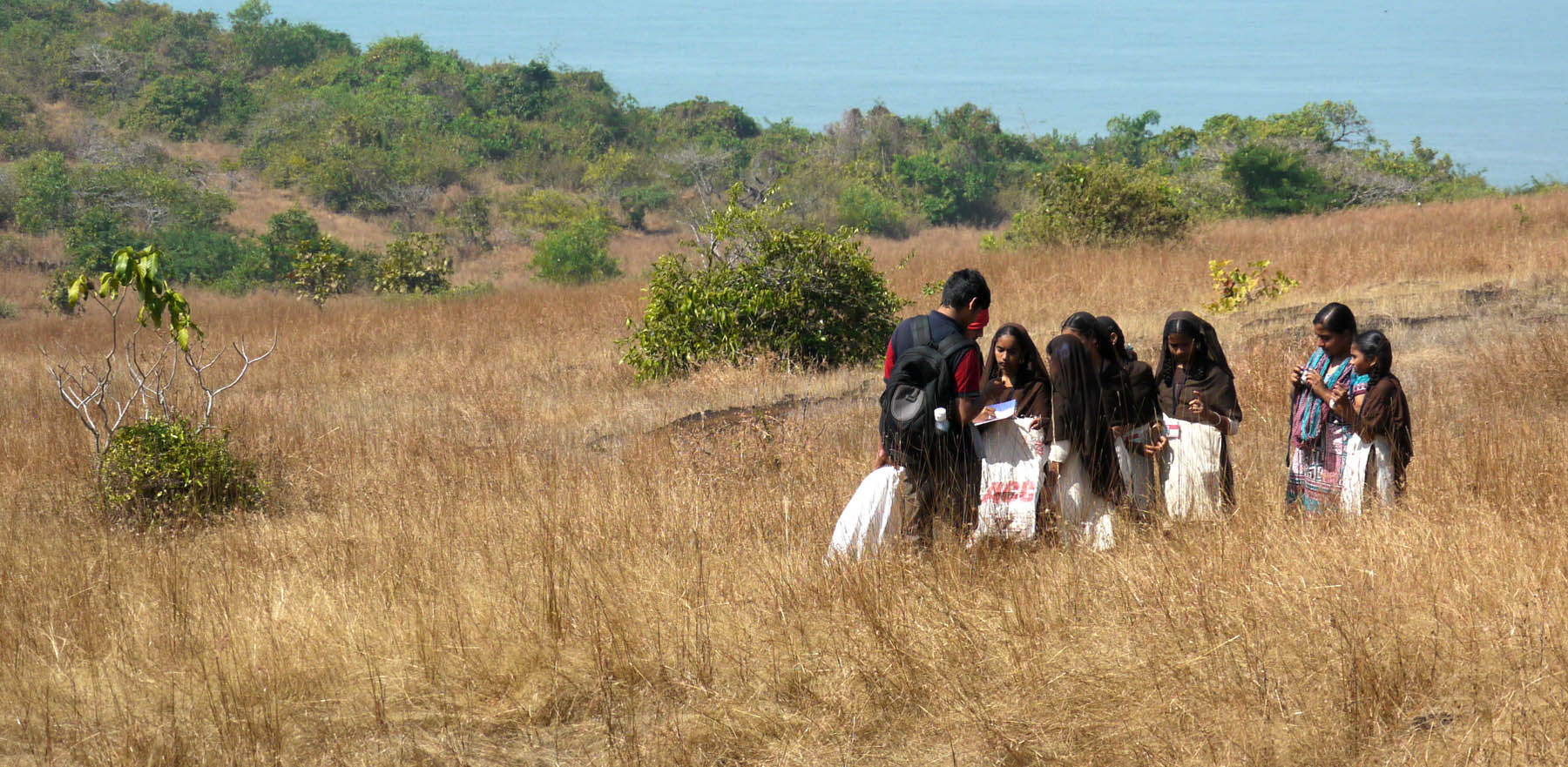 A children's nature-walk field programme on the estuary landscape